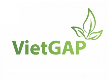 Chứng nhận VietGap