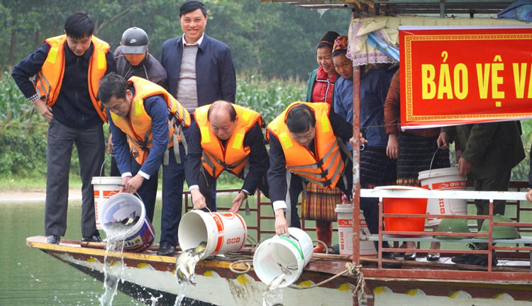 Khoảng 2 tấn cá giống được thả xuống lưu vực Sông Giăng xã Môn Sơn