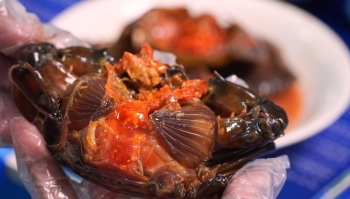 Đặc sản cua gạch Cà Mau ngâm nước mắm giá gần 1 triệu đồng/kg