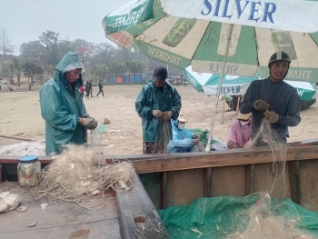 Ngư dân Thanh Hóa tấp nập ra khơi những ngày đầu năm mới