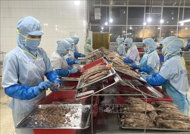 Xuất khẩu thủy sản lập kỷ lục mới, vượt mốc 11 tỷ USD