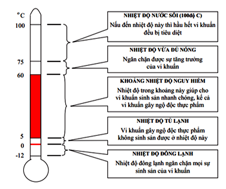 không bị tiêu diệt hay phá hủy bởi nhiệt độ sôi