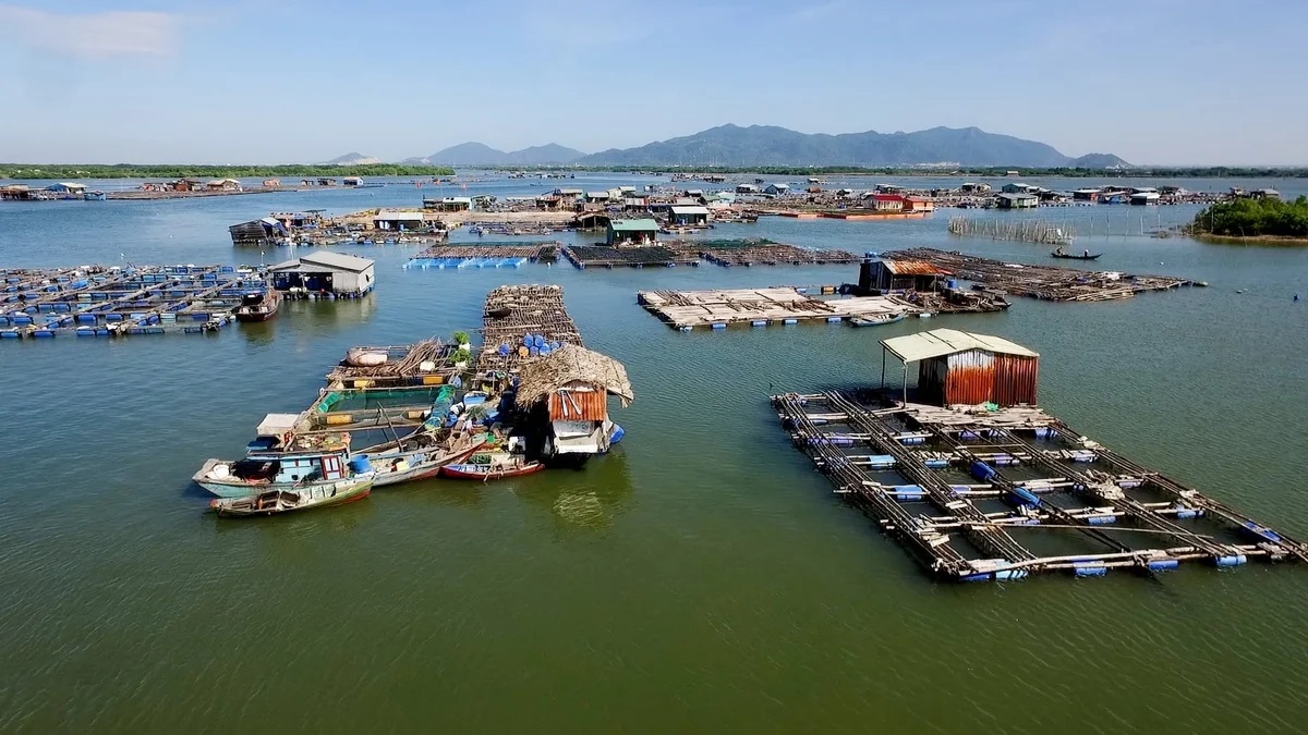 Một nội dung quan trọng của hội đàm thủy sản khu vực là nhận diện các thách thức cấp bách hiện nay, bao gồm giám sát chất lượng nước theo thời gian thực, kiểm soát ô nhiễm bùn đáy, cũng như nâng cao độ chính xác trong ước tính sinh khối. Ảnh: Minh Sáng.