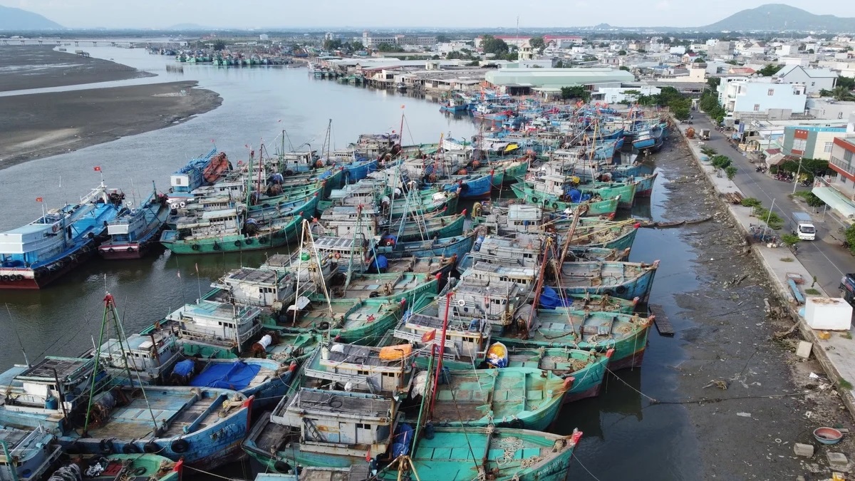 Ngành thủy sản đang đối mặt với nhiều thách thức như biến đổi khí hậu, nguồn lợi thủy hải sản suy kiệt, thị trường khắt khe... Ảnh: Minh Sáng.